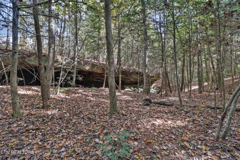 Tiny photo for 728 Deer Haven Tr, Jamestown, TN 38556 (MLS # 1360020)