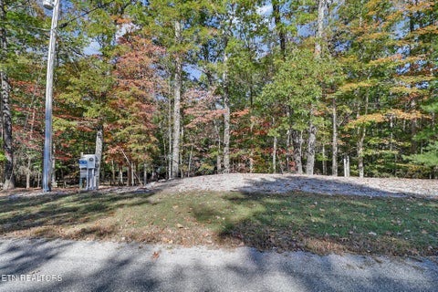 Tiny photo for 728 Deer Haven Tr, Jamestown, TN 38556 (MLS # 1360020)