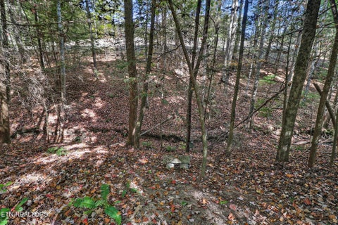 Tiny photo for 728 Deer Haven Tr, Jamestown, TN 38556 (MLS # 1360020)