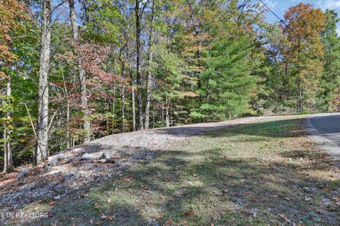 Tiny photo for 728 Deer Haven Tr, Jamestown, TN 38556 (MLS # 1360020)