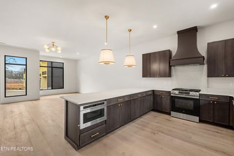 Tiny photo for 851 Vera Valley Way, Knoxville, TN 37919 (MLS # 1334421)