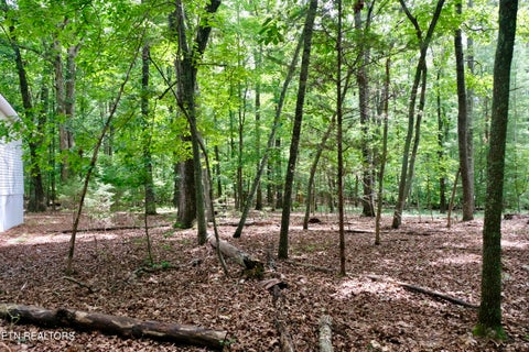 Tiny photo for 756 Ewing Cemetery Rd, Spring City, TN 37381 (MLS # 1348827)