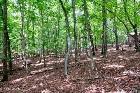 Tiny photo for 756 Ewing Cemetery Rd, Spring City, TN 37381 (MLS # 1348827)