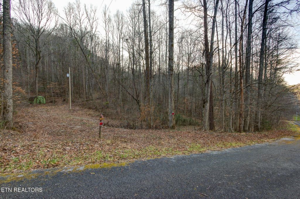 Photo of 4120 Highland Rd, Cosby, TN 37722 (MLS # 1327298)