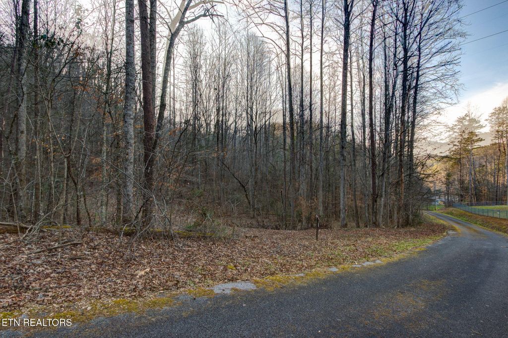 Photo of 4120 Highland Rd, Cosby, TN 37722 (MLS # 1327298)