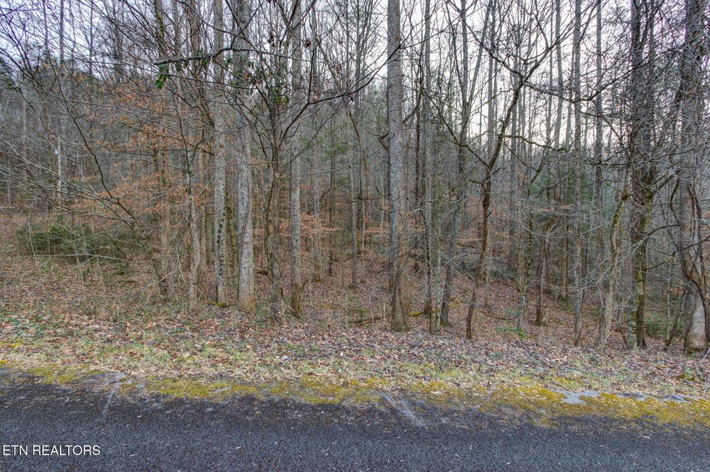 Photo of 4120 Highland Rd, Cosby, TN 37722 (MLS # 1327298)