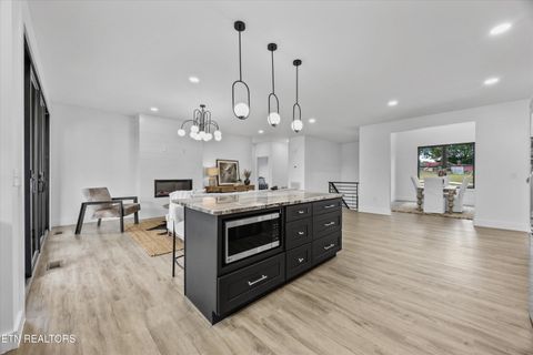 Tiny photo for 411 Hampton Way, Dandridge, TN 37725 (MLS # 1336519)