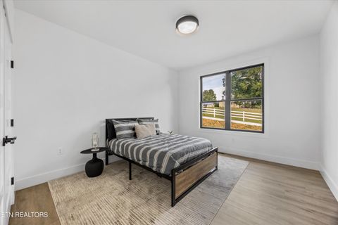 Tiny photo for 411 Hampton Way, Dandridge, TN 37725 (MLS # 1336519)