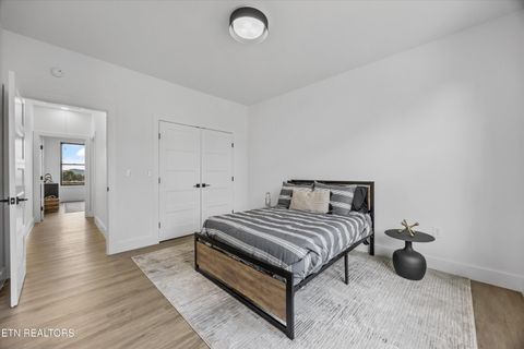 Tiny photo for 411 Hampton Way, Dandridge, TN 37725 (MLS # 1336519)