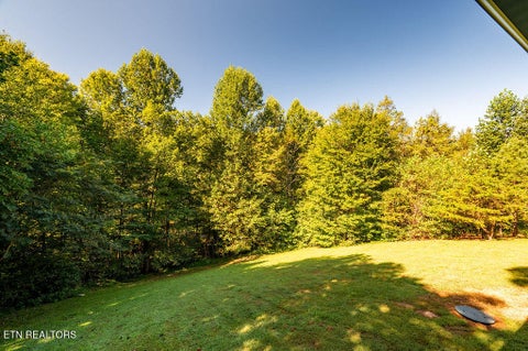 Tiny photo for 213 Amet Way, Cosby, TN 37722 (MLS # 1355452)