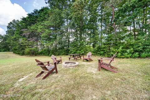 Tiny photo for 101102 Meadow view Lane, Spencer, TN 38585 (MLS # 1355526)