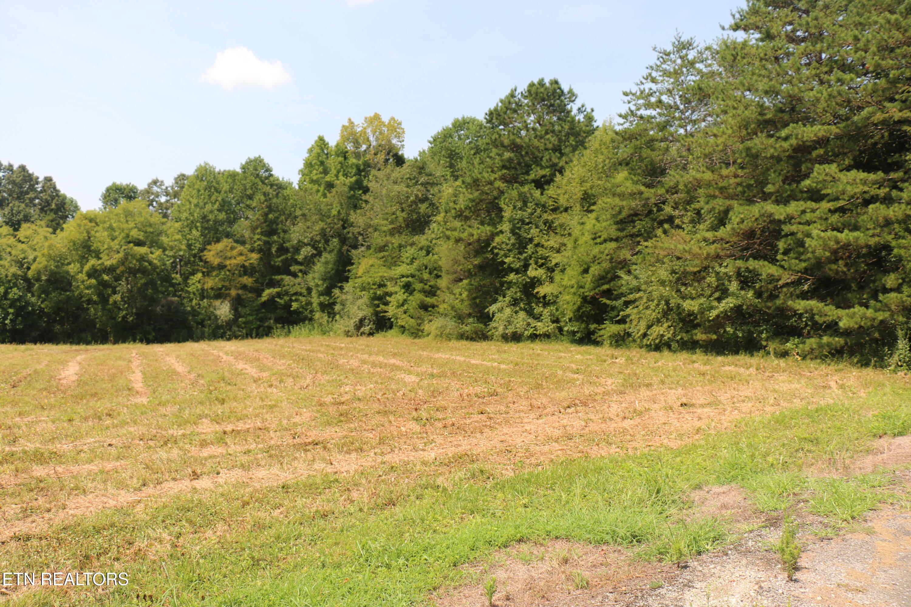 7.6 Acres Chestuee Ave