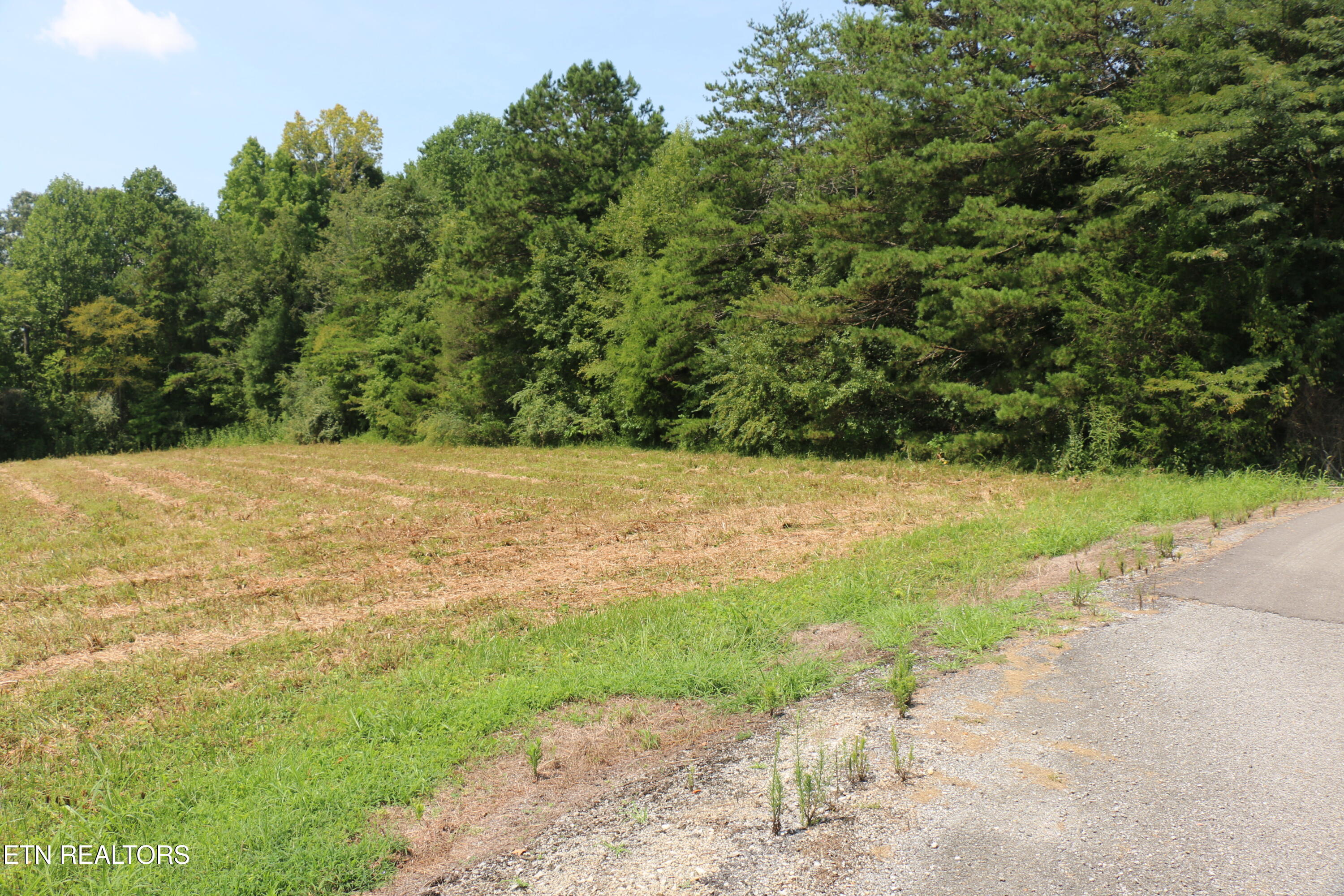 7.6 Acres Chestuee Ave