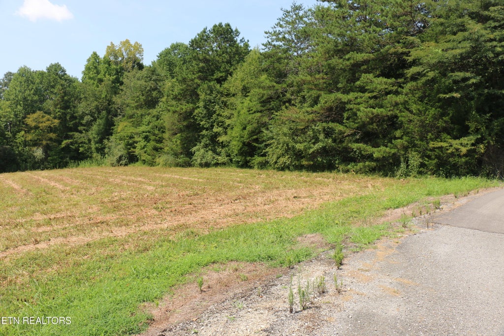 Photo of 76 Chestuee Ave, Englewood, TN 37329 (MLS # 1352176)