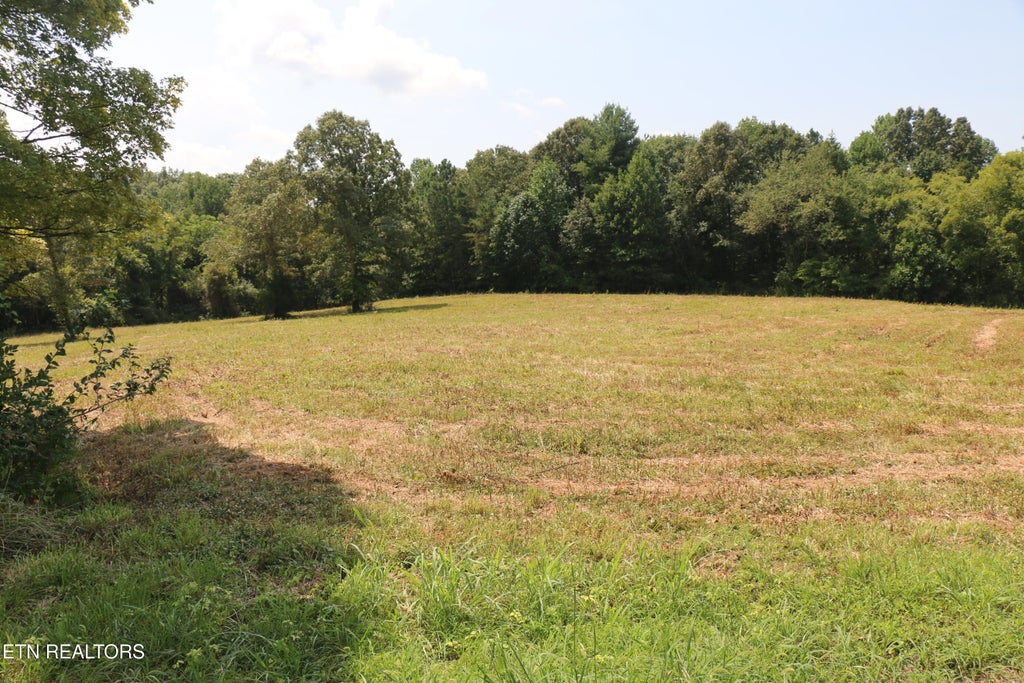 Photo of 76 Chestuee Ave, Englewood, TN 37329 (MLS # 1352176)