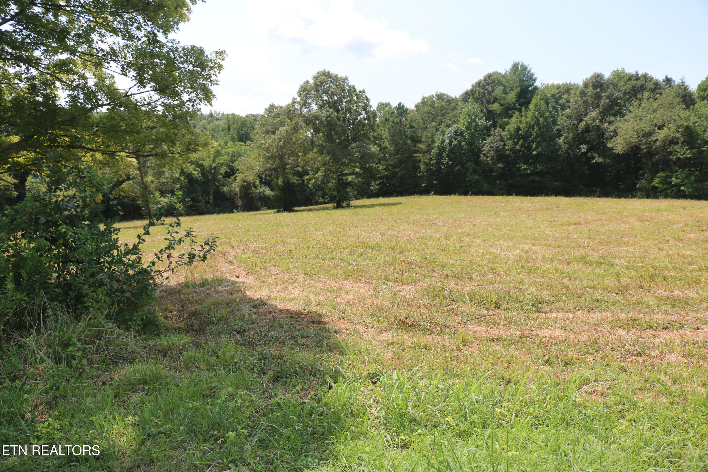 7.6 Acres Chestuee Ave