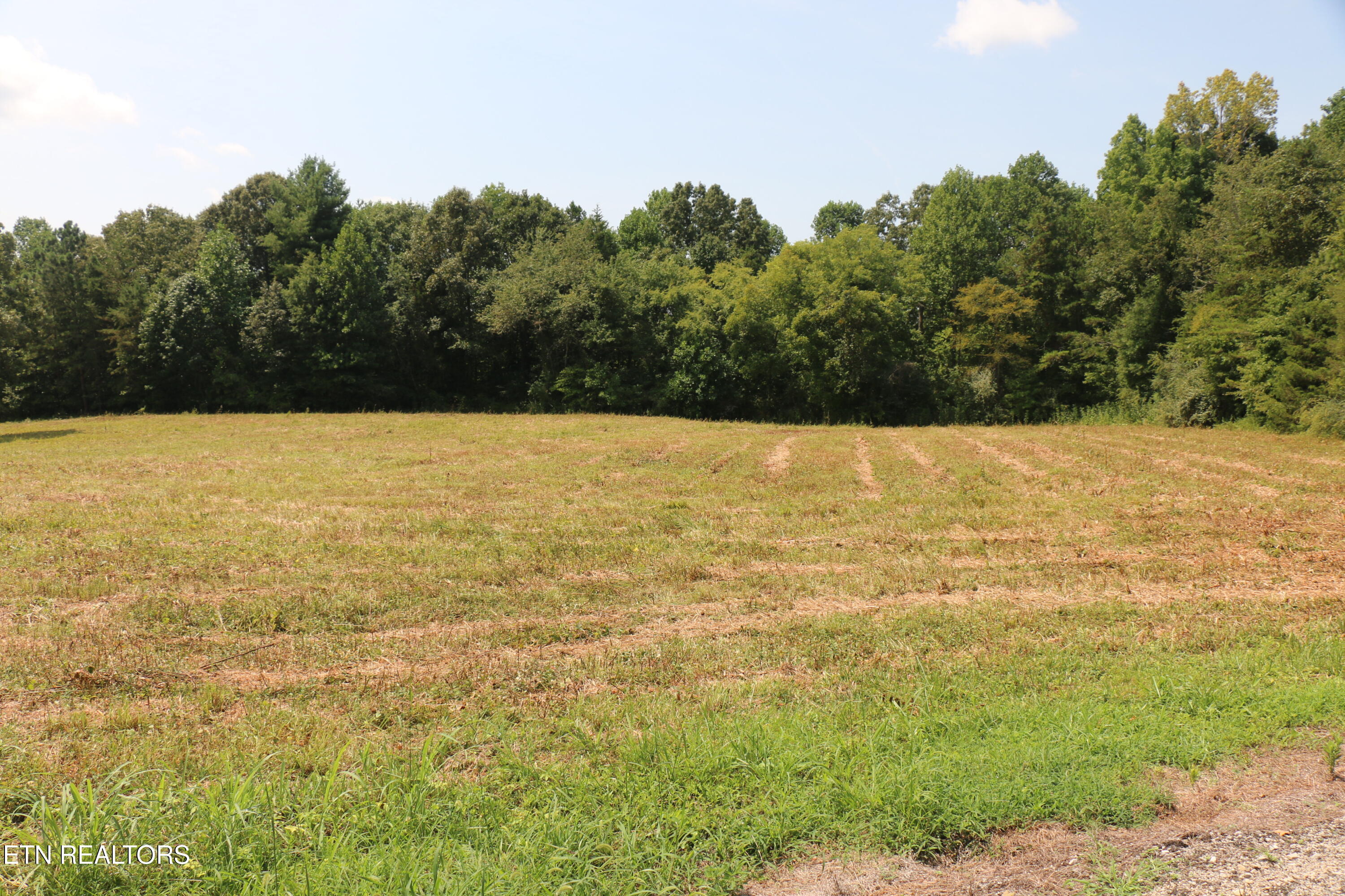 7.6 Acres Chestuee Ave