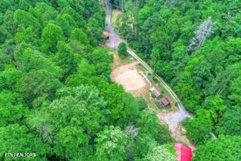 Tiny photo for 1970 Carrs Creek Rd, Townsend, TN 37882 (MLS # 1311113)