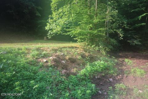 Tiny photo for 1970 Carrs Creek Rd, Townsend, TN 37882 (MLS # 1311113)