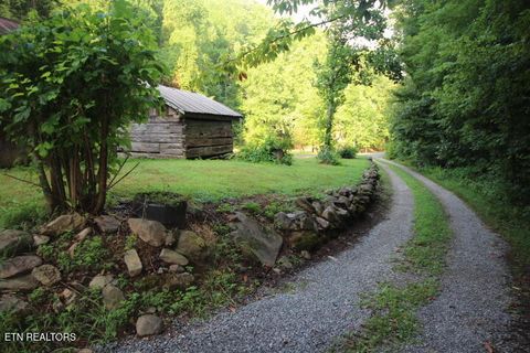 1970 Carrs Creek Rd Townsend TN 37882