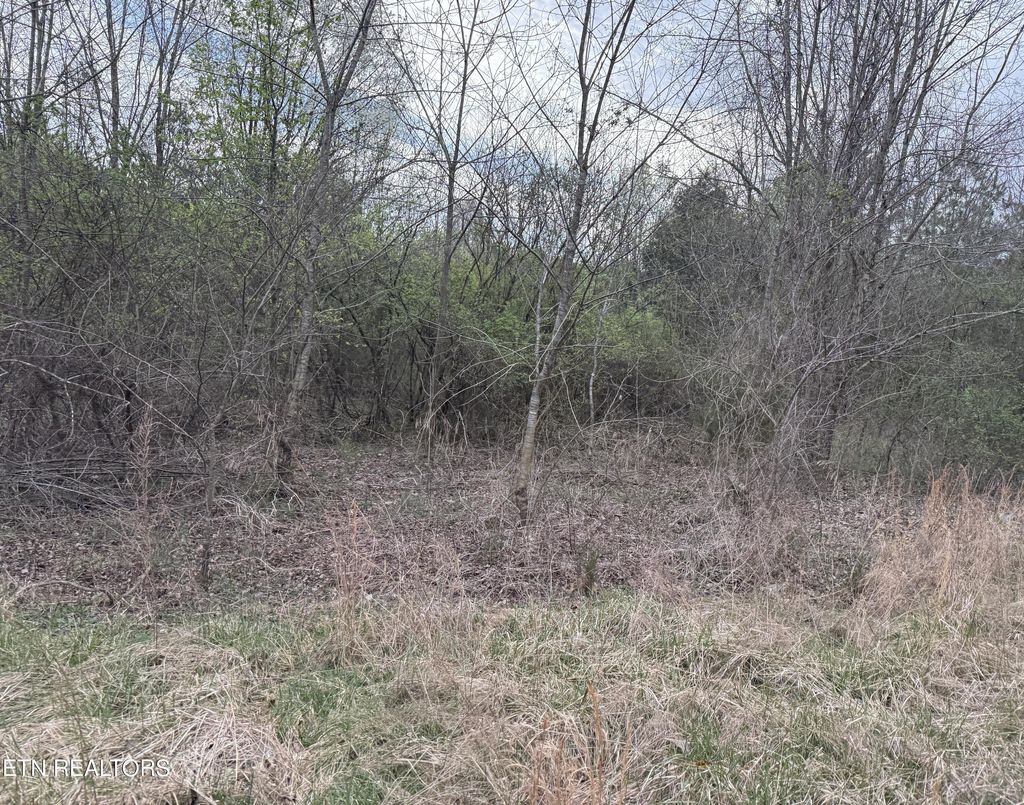 Photo of 129 Foxwood Drive #Lot 4, Kingston, TN 37763 (MLS # 1332646)