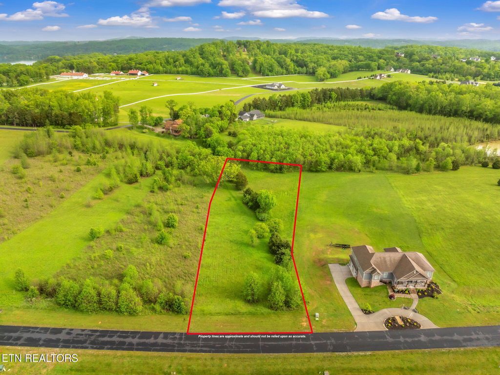 Photo of 443 Water View Drive, Rockwood, TN 37854 (MLS # 1299044)