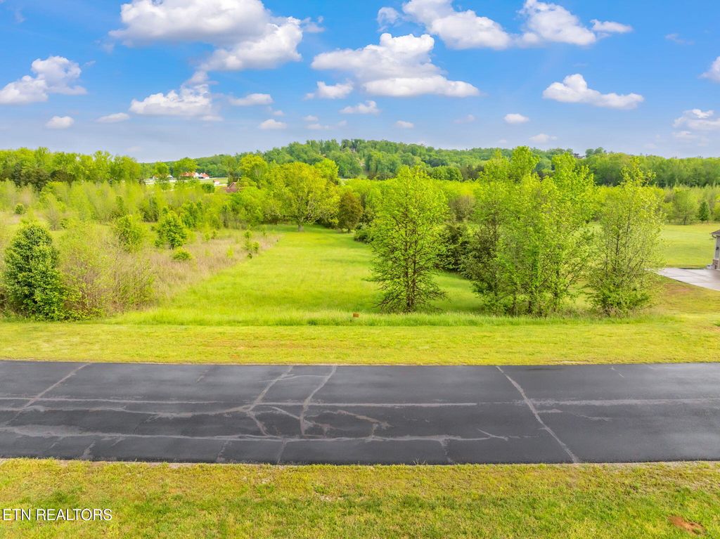 Photo of 443 Water View Drive, Rockwood, TN 37854 (MLS # 1299044)