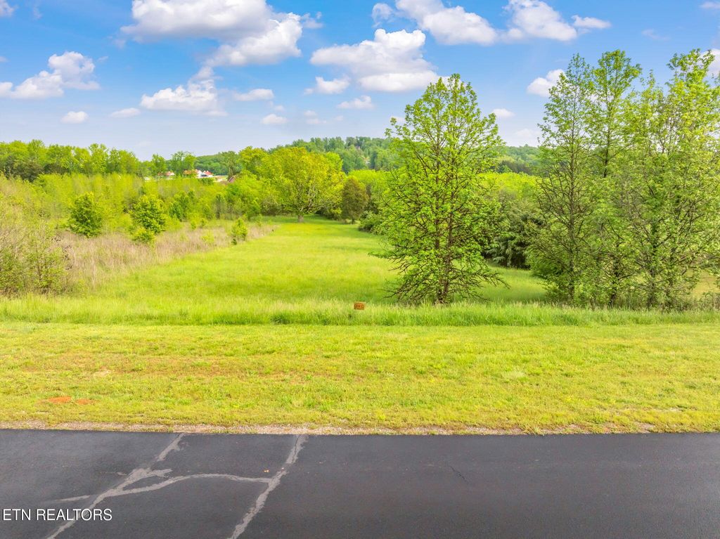 Photo of 443 Water View Drive, Rockwood, TN 37854 (MLS # 1299044)