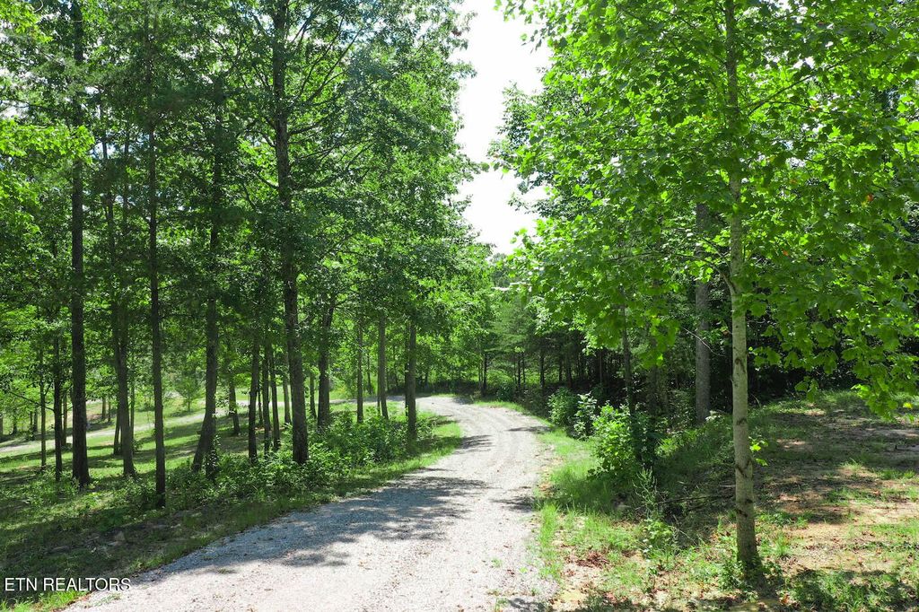 Photo of 00 SR 111, Spencer, TN 38585 (MLS # 1326481)