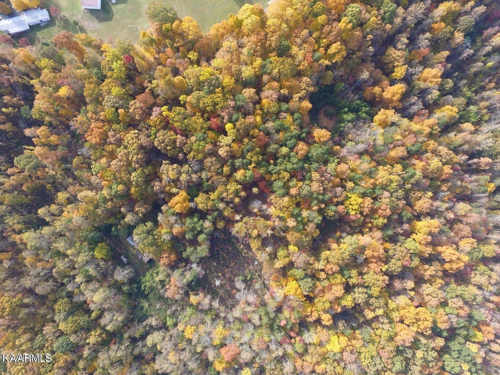 Photo of 8735 Conner Rd, Powell, TN 37849 (MLS # 1216194)