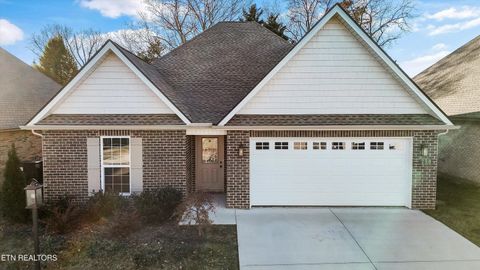 Photo of 258 Sand Hills Drive, Maryville, TN 37801 (MLS # 1324344)