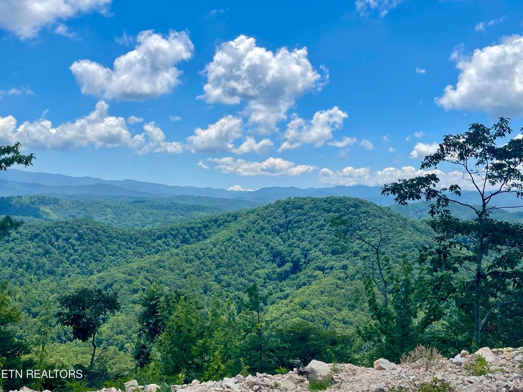 Photo of 33 Bullet Mountain Rd, Tellico Plains, TN 37385 (MLS # 1268245)