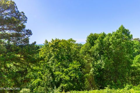 Tiny photo for 1954 Cherokee Bluff Drive, Knoxville, TN 37920 (MLS # 1340827)
