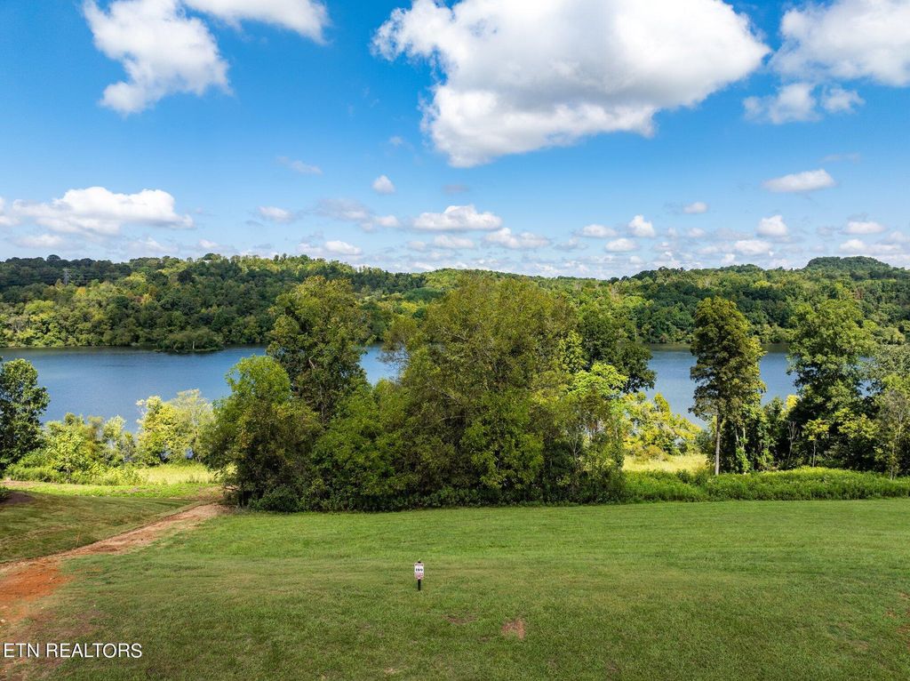 Photo of 891 River Bank Tr, Loudon, TN 37774 (MLS # 1333209)