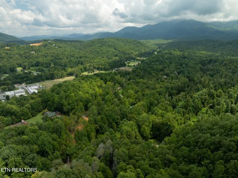Tiny photo for 56 Ardell Way, Cosby, TN 37722 (MLS # 1313137)