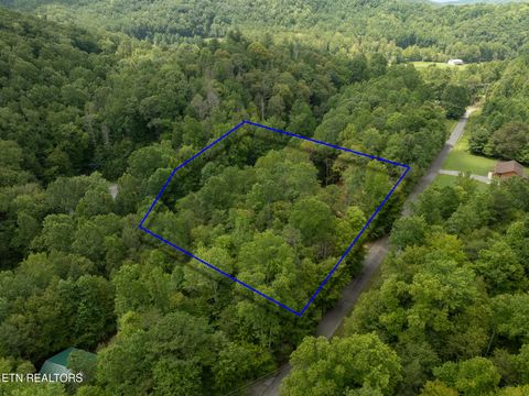 Tiny photo for 56 Ardell Way, Cosby, TN 37722 (MLS # 1313137)