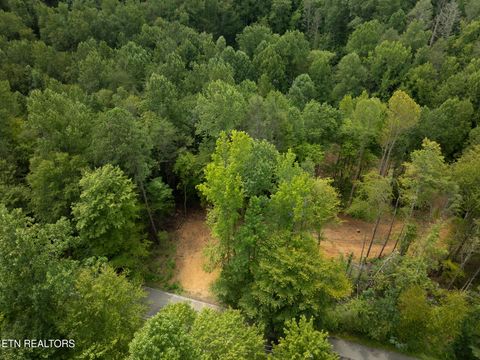 Tiny photo for 56 Ardell Way, Cosby, TN 37722 (MLS # 1313137)