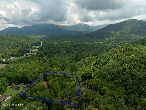 Tiny photo for 56 Ardell Way, Cosby, TN 37722 (MLS # 1313137)
