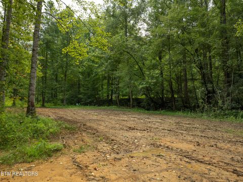 Tiny photo for 56 Ardell Way, Cosby, TN 37722 (MLS # 1313137)