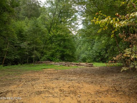 Tiny photo for 56 Ardell Way, Cosby, TN 37722 (MLS # 1313137)