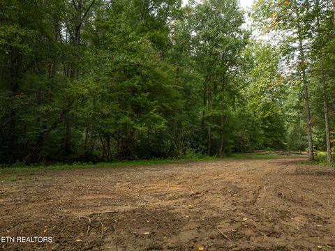 Tiny photo for 56 Ardell Way, Cosby, TN 37722 (MLS # 1313137)