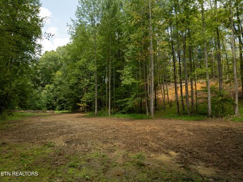 Tiny photo for 56 Ardell Way, Cosby, TN 37722 (MLS # 1313137)