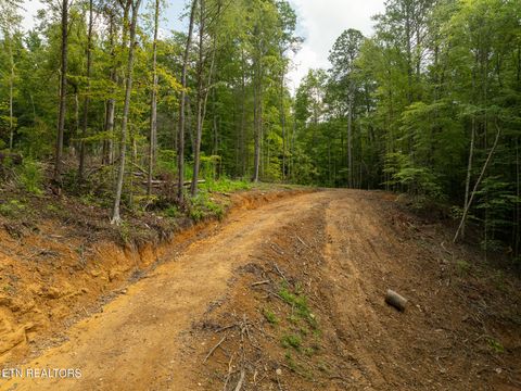 Tiny photo for 56 Ardell Way, Cosby, TN 37722 (MLS # 1313137)