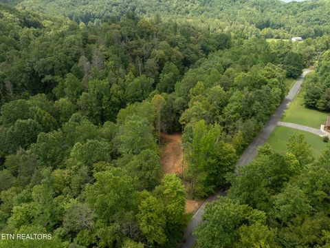 Tiny photo for 56 Ardell Way, Cosby, TN 37722 (MLS # 1313137)