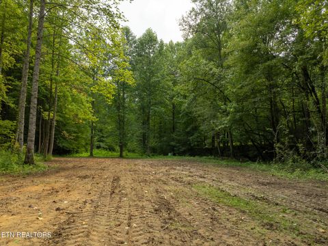 Tiny photo for 56 Ardell Way, Cosby, TN 37722 (MLS # 1313137)