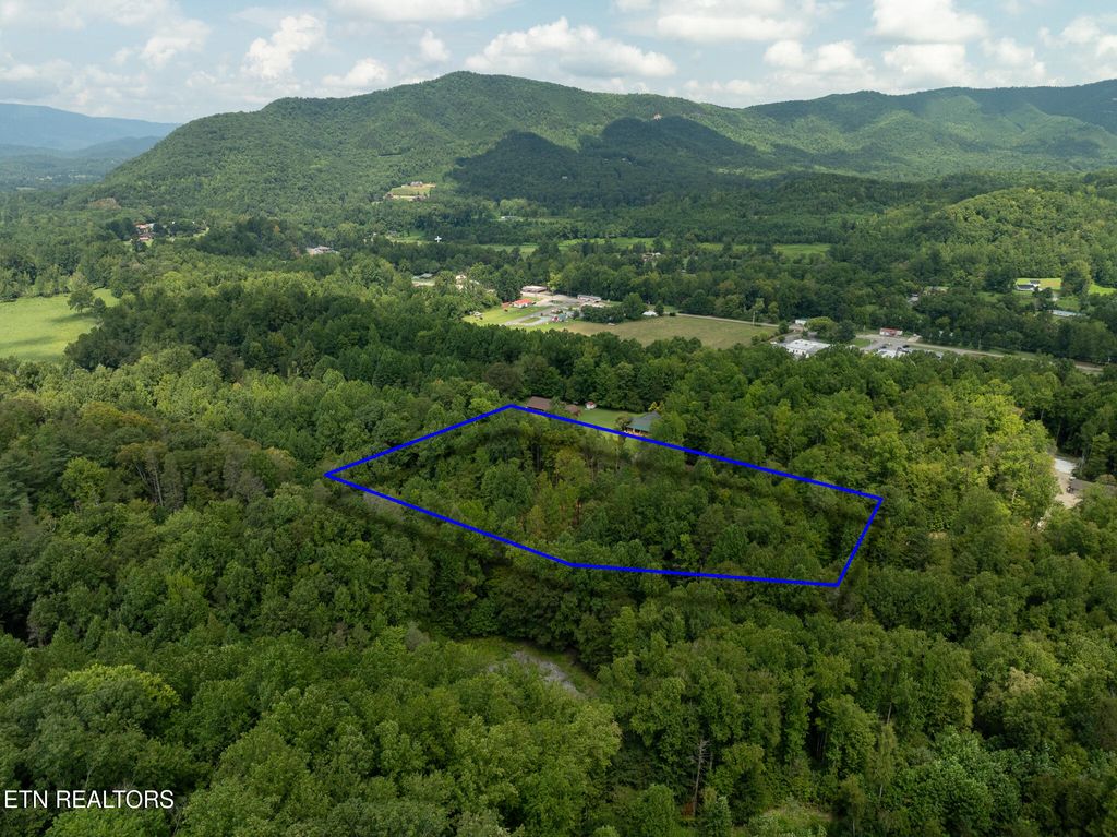 Photo of 56 Ardell Way, Cosby, TN 37722 (MLS # 1313137)