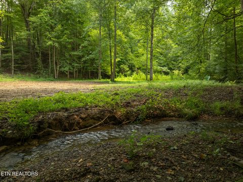 Tiny photo for 56 Ardell Way, Cosby, TN 37722 (MLS # 1313137)