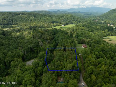 Tiny photo for 56 Ardell Way, Cosby, TN 37722 (MLS # 1313137)