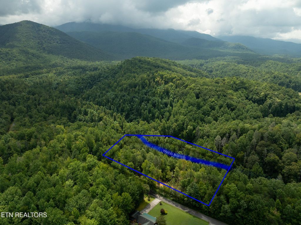 Photo of 56 Ardell Way, Cosby, TN 37722 (MLS # 1313137)