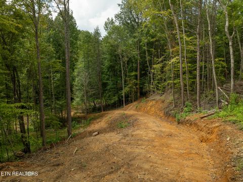 Tiny photo for 56 Ardell Way, Cosby, TN 37722 (MLS # 1313137)